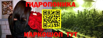 PSILOCYBIN Аргун
