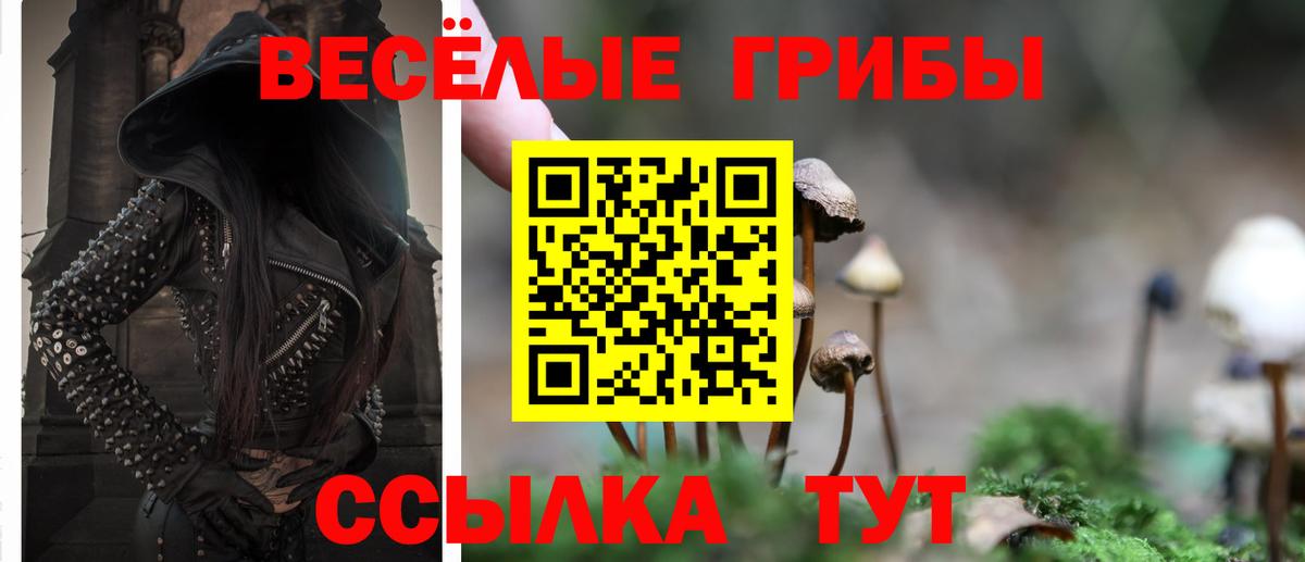 Галлюциногенные грибы мицелий Волгодонск