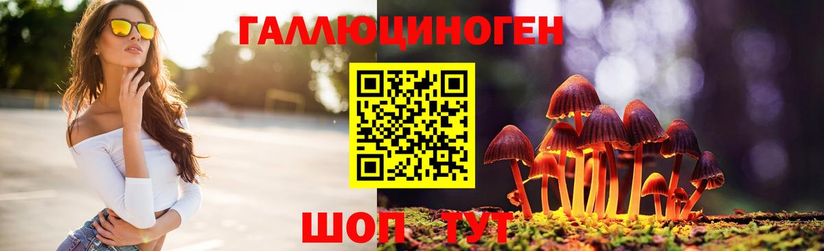 Волгодонск  Галлюциногенные грибы Psilocybe  Вход с VPN 